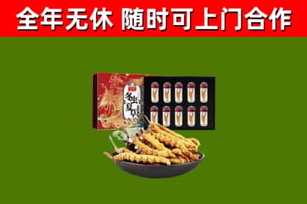中堂镇烟酒回收冬虫夏草礼盒.jpg