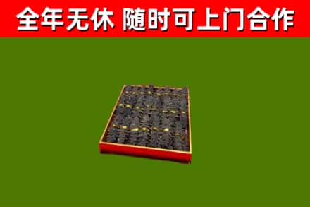 中堂镇回收海参